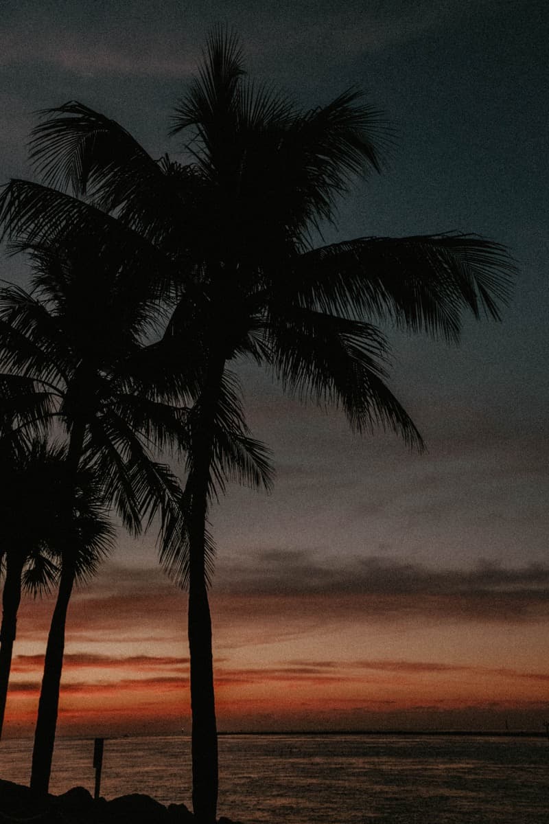 How Do I Know If Someone Is Genuine Online? Online Dating Trust & Safety